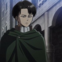 Levi Ackerman (Shingeki No Kyojin)