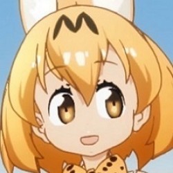 Serval
