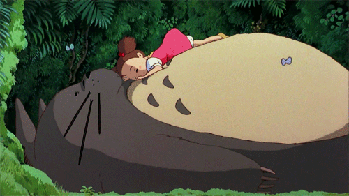 Totoro - Tonari no Totoro (My Neighbor Totoro)