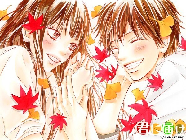 Kimi Ni Todoke
