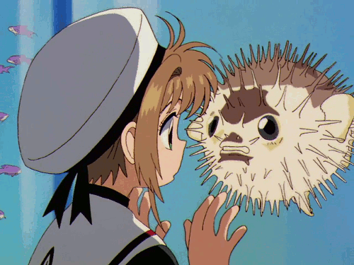 7) Cardcaptor Sakura - MAL: 8.18 (7 Nisan 1998 - 21 Mart 2000) Macera, Komedi, Dram, Sihir, Romantik, Fantastik, Okul, Shoujo