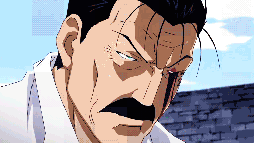 FULLMETAL ALCHEMİST BROTHERGOOD