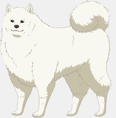 Riku - Kenichiro Matsuda 