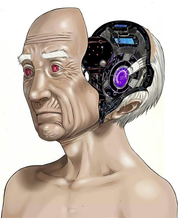 Inuyashiki