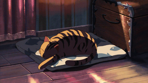 9- Neko no Shuukai (MAL: 7.01, IMDB: 6.7)