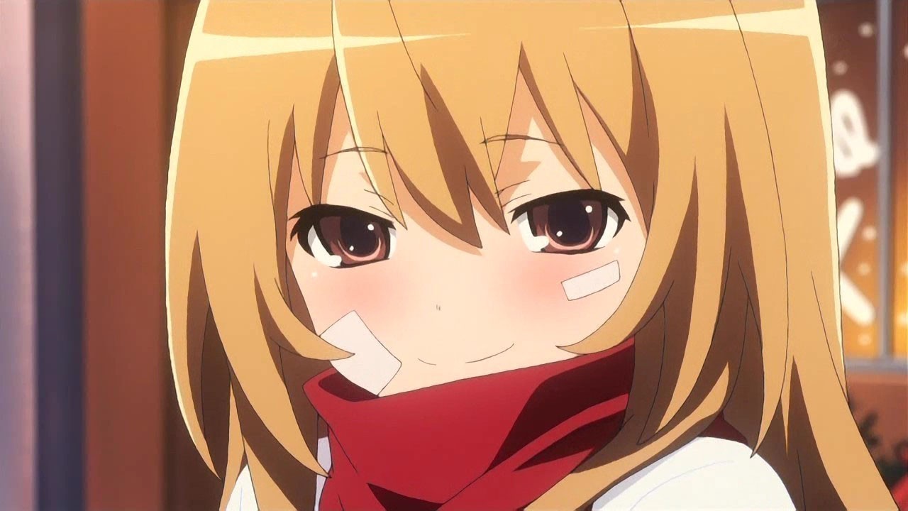 Aisaka, Taiga (逢坂 大河) | Toradora! Anime ve Manga Serileri - 22.386 Beğeni