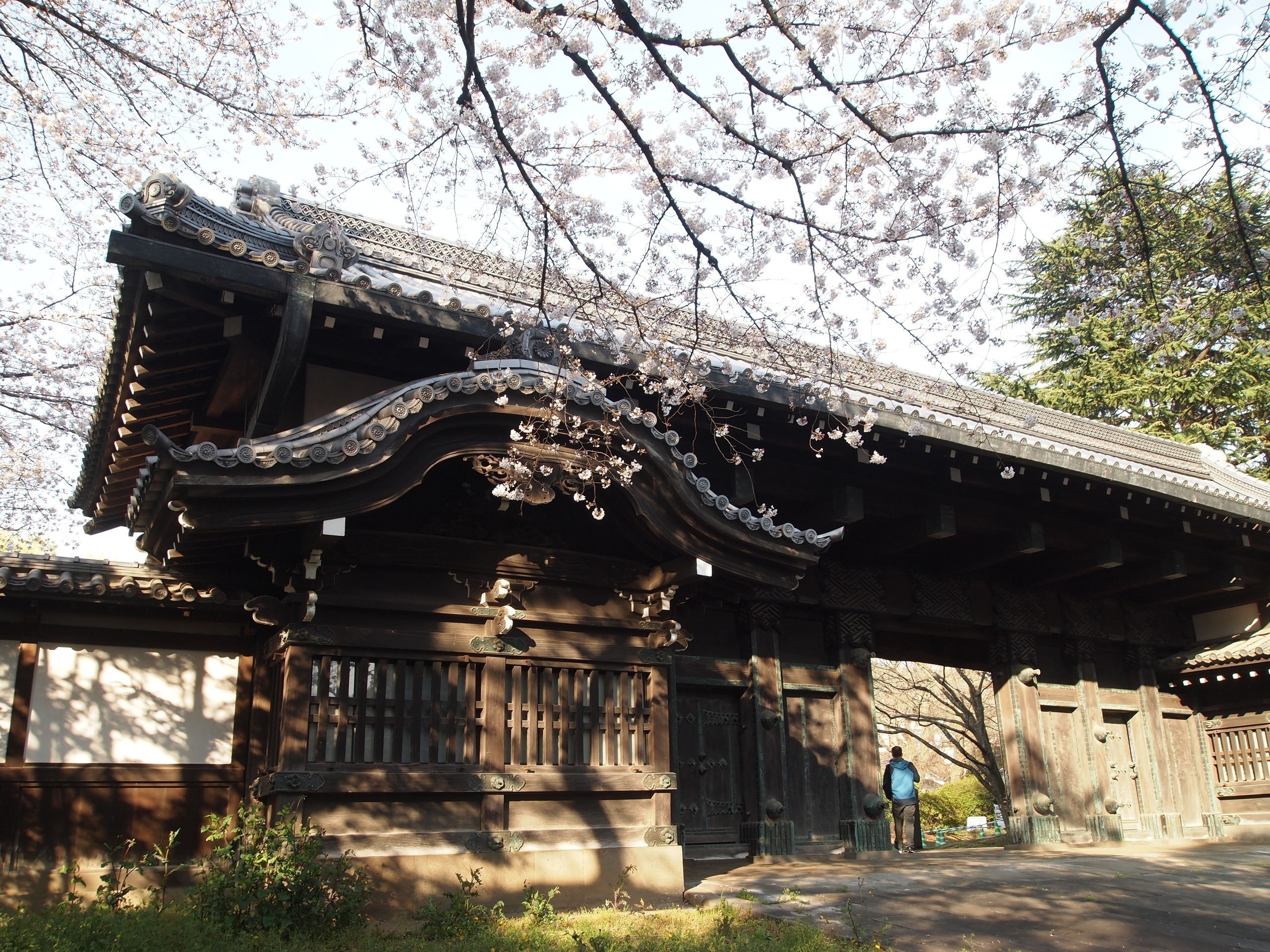 8- Kan’ei-ji Tapınağı