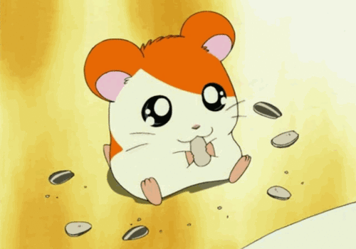 12- HAMTORO (Hamtaro) – 104 OY
