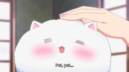 8- TIPPY (Is the Order a Rabbit?) – 117 OY