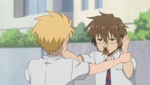 Arının Bağırsaklarıyla Dolu Bir Öpücük (Daily Lives of High School Boys)