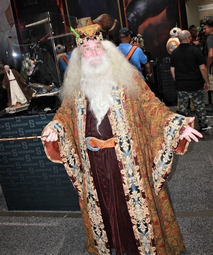 12)Dumbledore, Harry Potter: