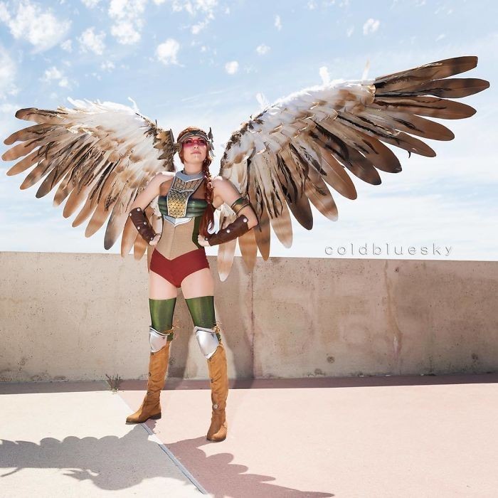 31)Hawkgirl, Dc: