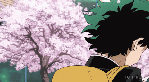 İzuku Midoriya (15 Temmuz) - Boku no Hero Academia