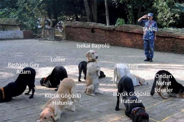 Sonuna Kadar Doğru!