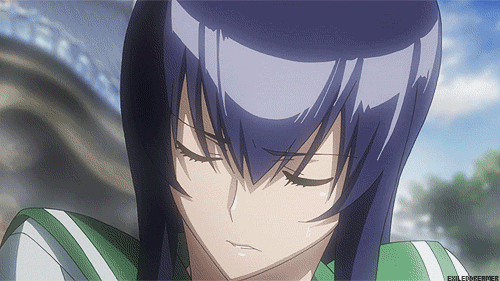 Saeko Busujima ( High School of Dead )