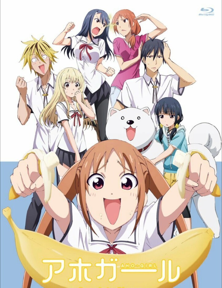Aho Girl
