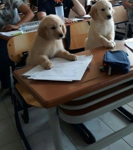 Sanat, Oyun motoru ve diğerleri ve son söz