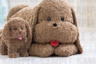 Yuri!!! on Ice'tan Makkachin Ve Vicchan'ın Life-Size Peluşları Geliyor