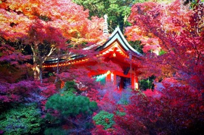 Japon Tapınakları: Bishamon-do Tapınağı
