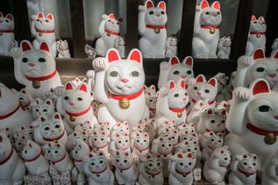 Japon Tapınakları: Gotokuji Tapınağı